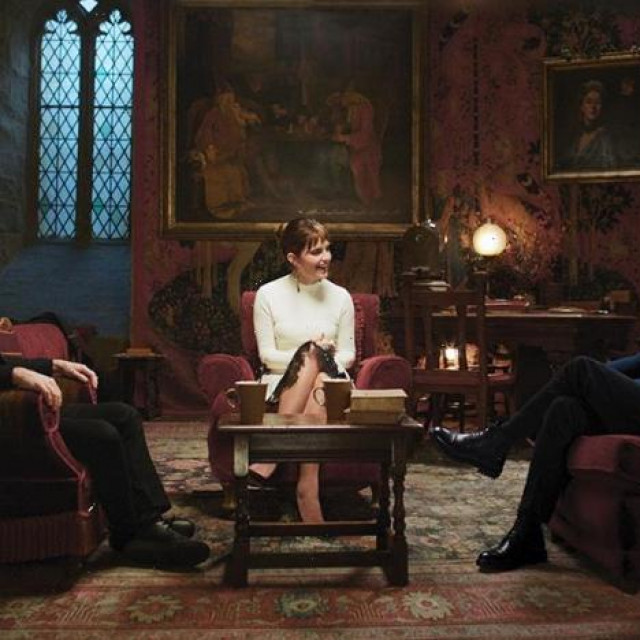 harry potter reunion

