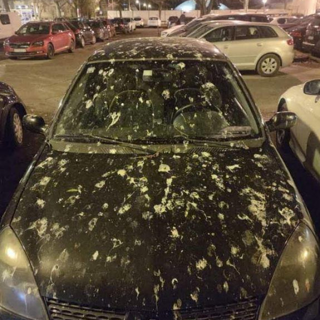 Automobil u Ravnicama 'ukrasile' su ptice
