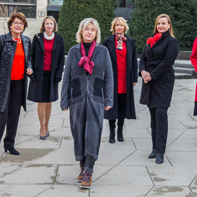 Svjetlana Šupe, Arijana Lovrenčić-Huzjan, Zdravka Poljaković, Vesna Matijević, Dinah Vodanović i Marina Roje Bedeković
