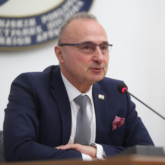 Gordan Grlić Radman
