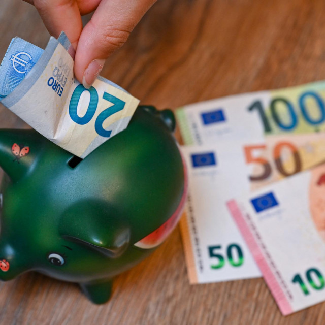 Kasica prasica/Ilustracija
