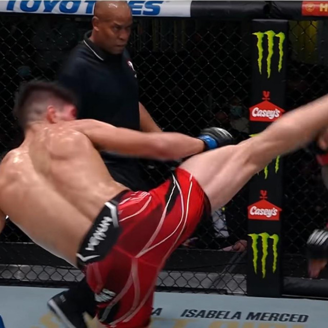 Bahamondes vs. Roberts
