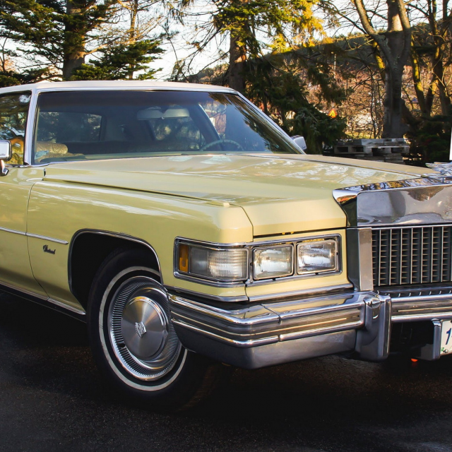 Elvisov Cadillac
