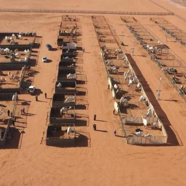 Luksuzni hotel za deve
