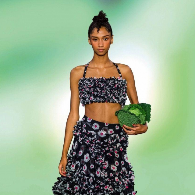 Fotografija: IMAXtree
