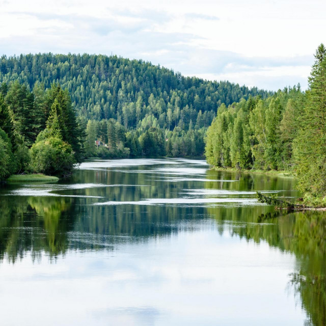 Ribe će sada slobodno moći putovati tokovima rijeke Lågen
