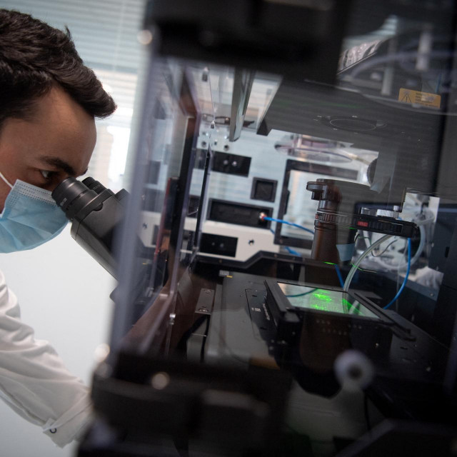 Biolog u laboratoriju/Ilustacija
