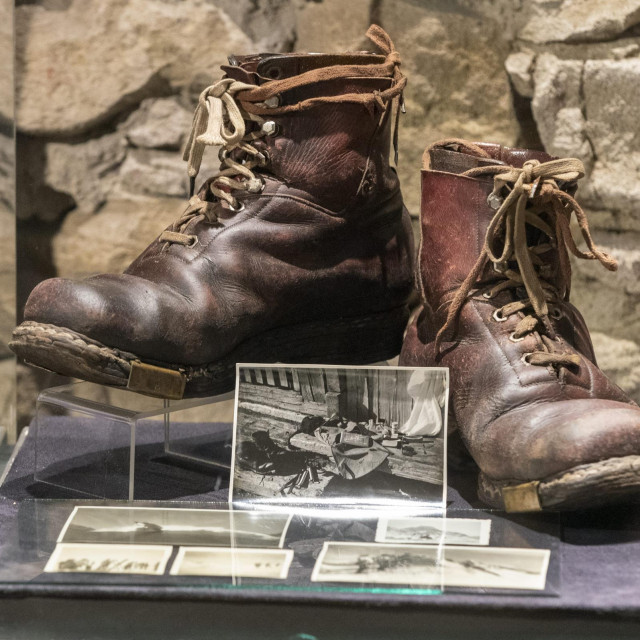  Pancerice Marija Morandinija.
 
