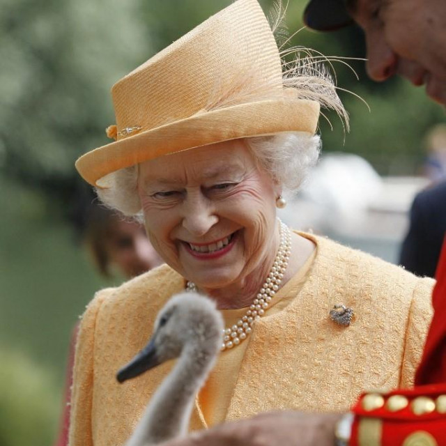 Kraljica Elizabeta II. s labudom
