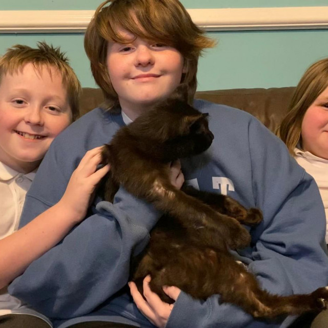 Rachelina djeca sa mačkom koji je čudesno pronađen
