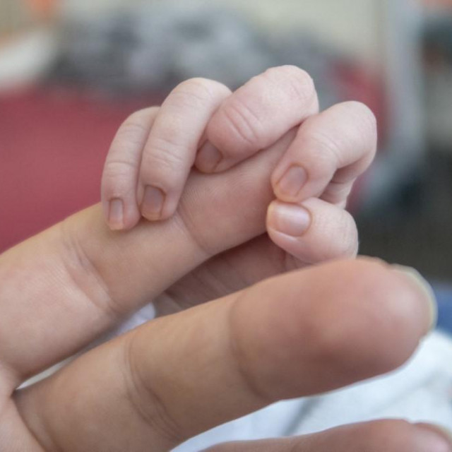 Dječja ruka/Ilustracija
