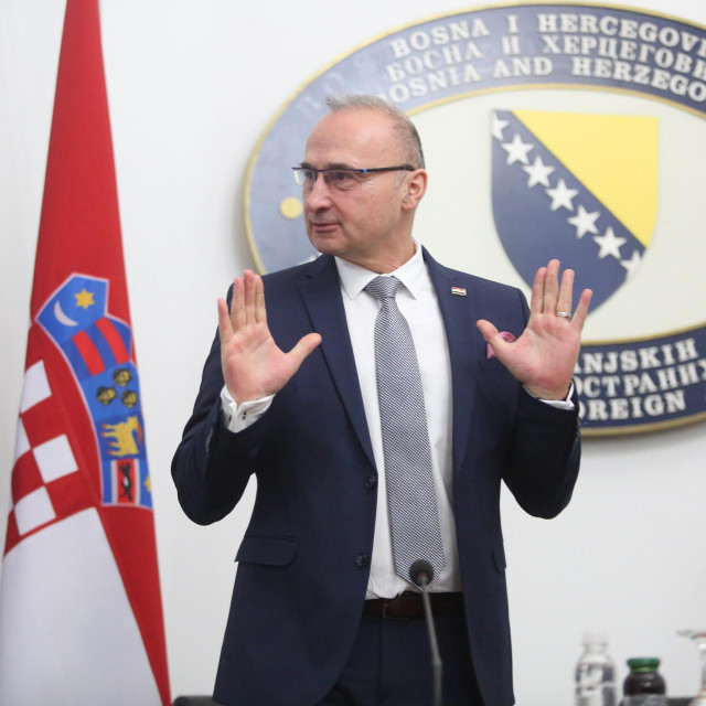 Gordan Grlić Radman
