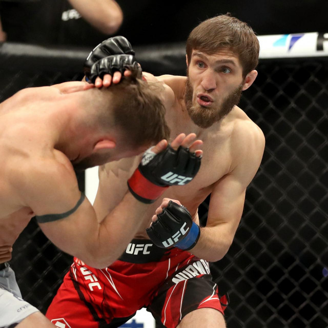 Cody Stamann vs. Said Nurmagomedov
