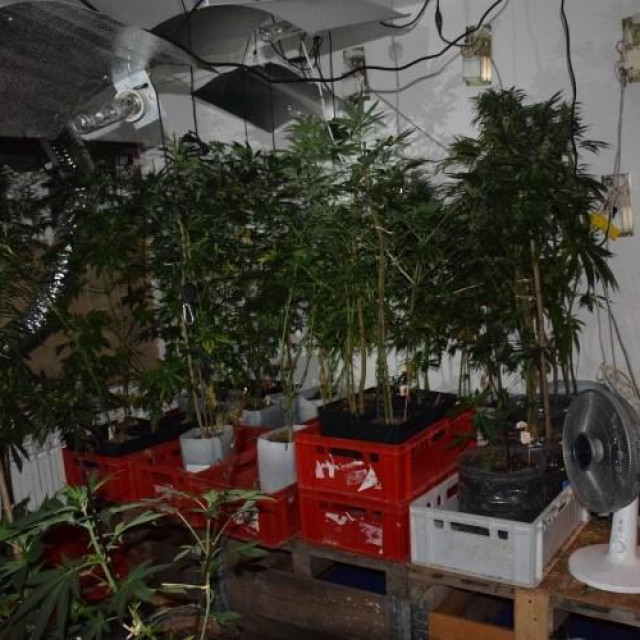 droga pronađena u Velikoj Gorici
