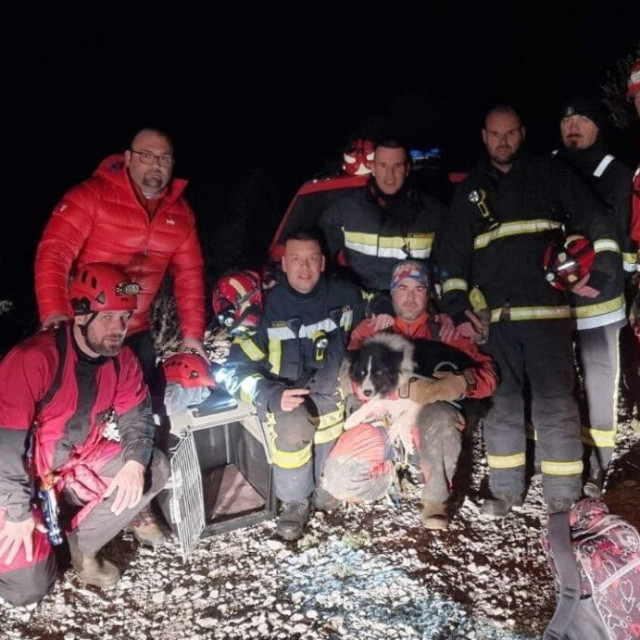 Ekipa sa spašenim psom
