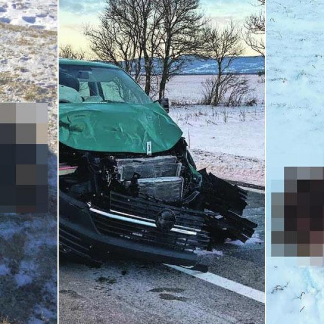 Radnici Hrvatskih šuma kombijem su 13. siječnja udarili u konja na D1 u Jošanima. Novi se nalet na životinju dogodio u mjestu Vukava
