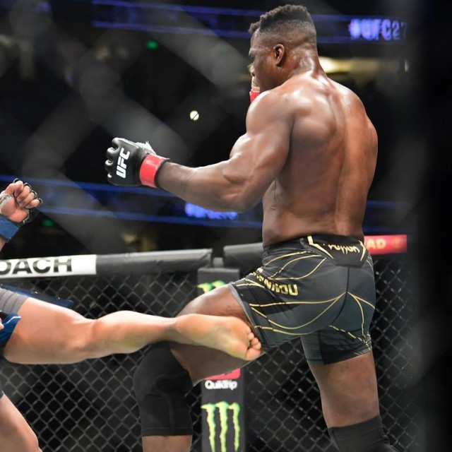 Francis Ngannou vs. Ciryl Gane