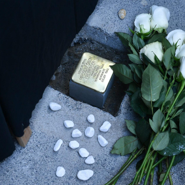 Kamen spoticanja za nadrabina Miroslava Šaloma Freibergera
