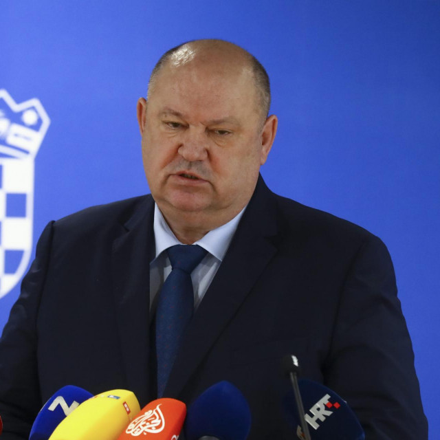Damir Zorić
