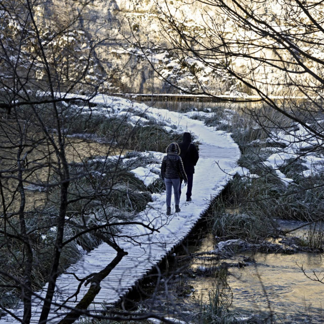 Prizor sa Plitvičkih jezera
