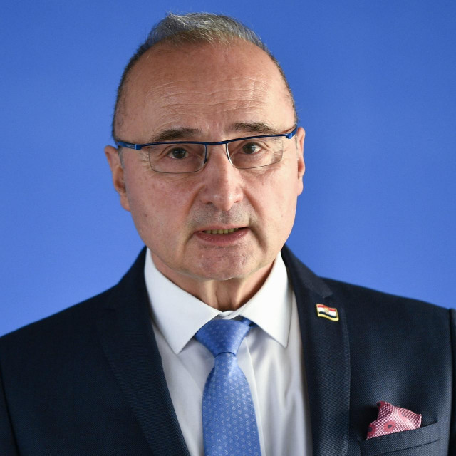 Gordan Grlić Radman