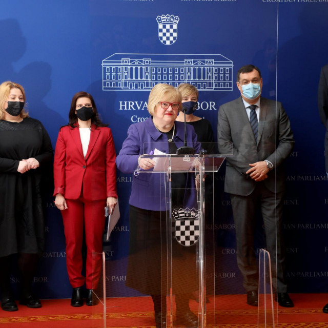 Emil Daus, Marija Selak Raspudić, Katarina Peović, Anka Mrak Taritaš, Ivana Posavec Krivec, Damir Bajs, Sandra Benčić, Peđa Grbin
 
