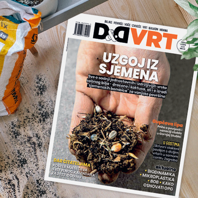 Novi D&D VRT
