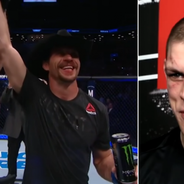 Donald Cerrone vs. Joe Lauzon