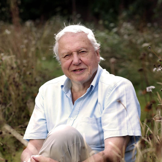 David Attenborough
