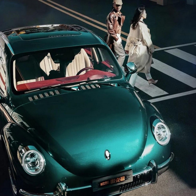 Great Wall ORA Punk Cat
