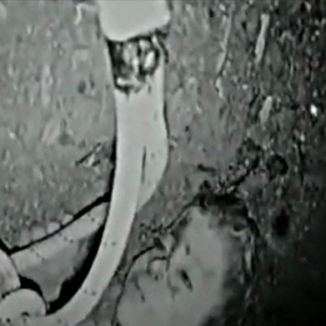 Rayan Awram pao je u utorak u bunar u selu Ighran
