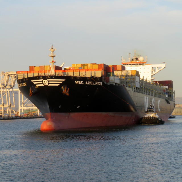 MSC Adelaide (fotografija iz 2019.)
