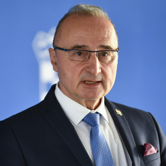 Gordan Grlić Radman
