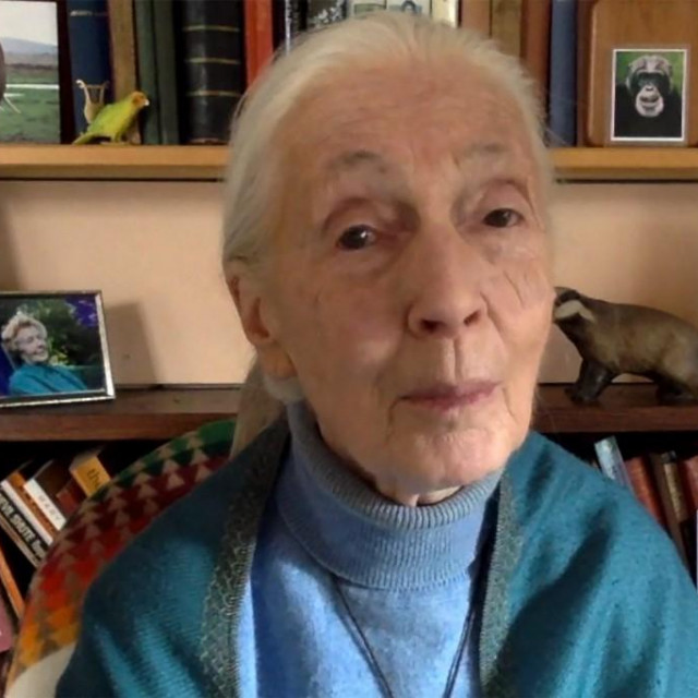 Jane Goodall