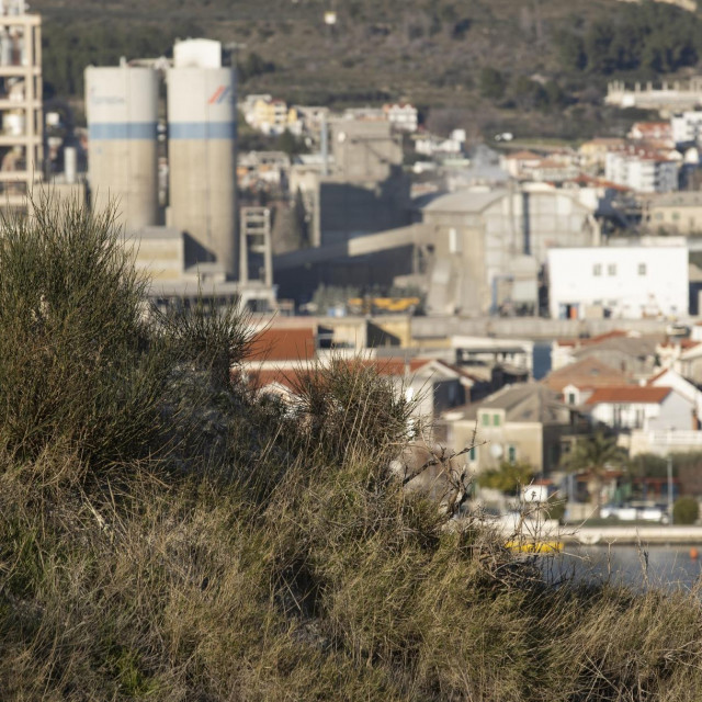 Područje na Stinicama na kojem obitavaju brojne biljne vrste
