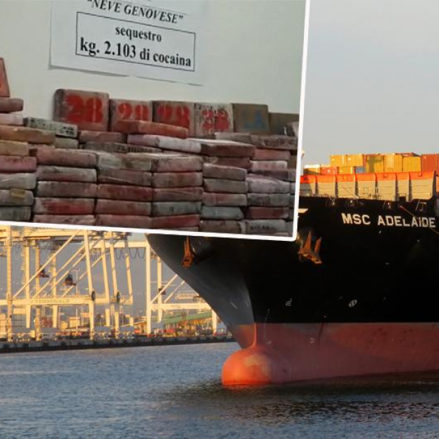MSC Adelaide (fotografija iz 2019.)
