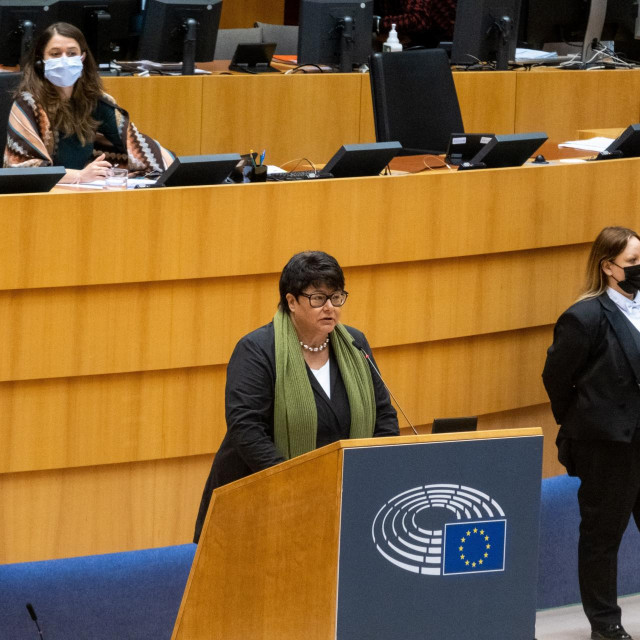 Izvjestiteljica Sabine Verheyen u Europskom parlamentu
