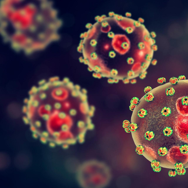 Lassa-groznica je često smrtonosna infekcija arenavirusom koja se pojavljuje uglavnom u Africi
