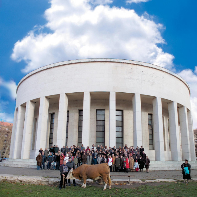 Iz projekta Sir i vrhnje, happening, grupna fotografija s kravom Bebom, Zagreb, Kristina Leko
