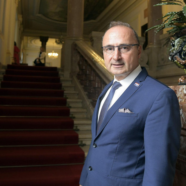 Gordan Grlić Radman
