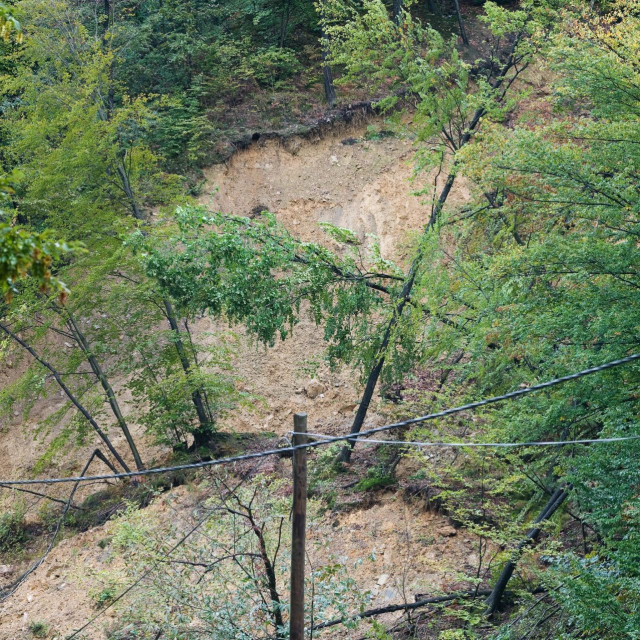 Arhivska fotografija
