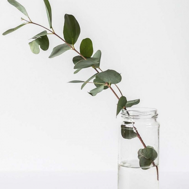 Fotografija: Unsplash 
