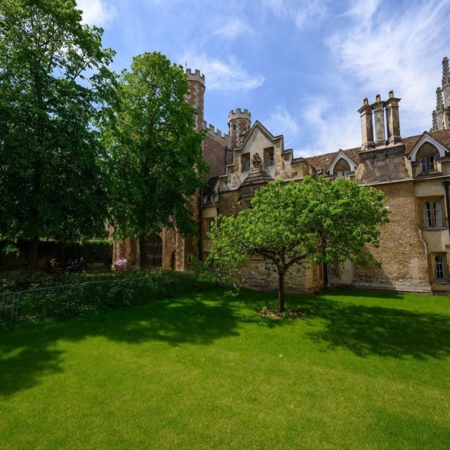 Newtonovo stablo jabuke
