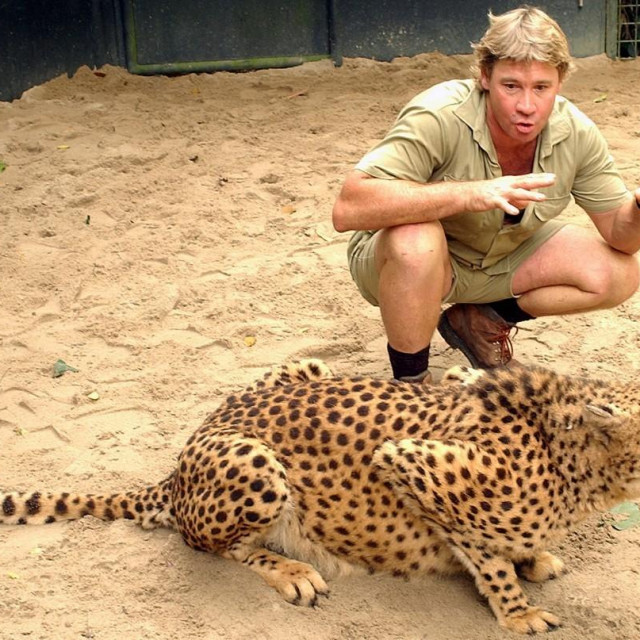 Steve Irwin
