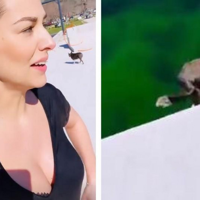 Pas Tatjane Jurić pao u Krku
