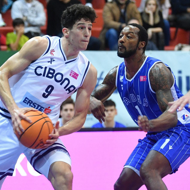 Cibonin Amar Gegić ubacio je 11 poena uz sedam skokova i tri asista u porazu BiH