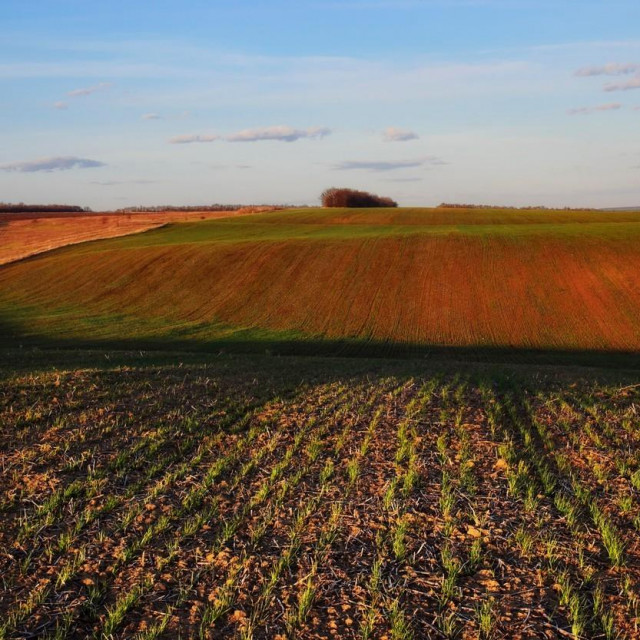 Ukrajina, oblast Dnjepropetrovsk

