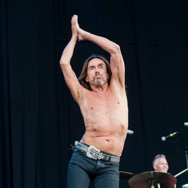 Iggy Pop 
