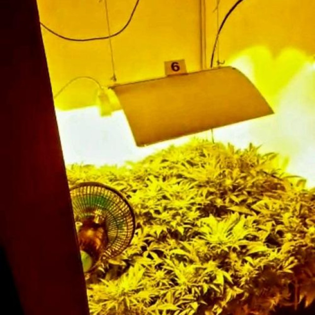 droga pronađena u kući u Dubravi
