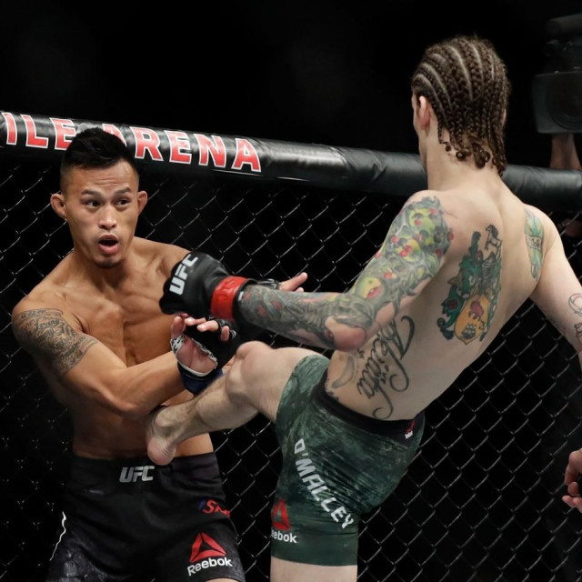 Andre Soukhamthath vs. Sean O'Malley